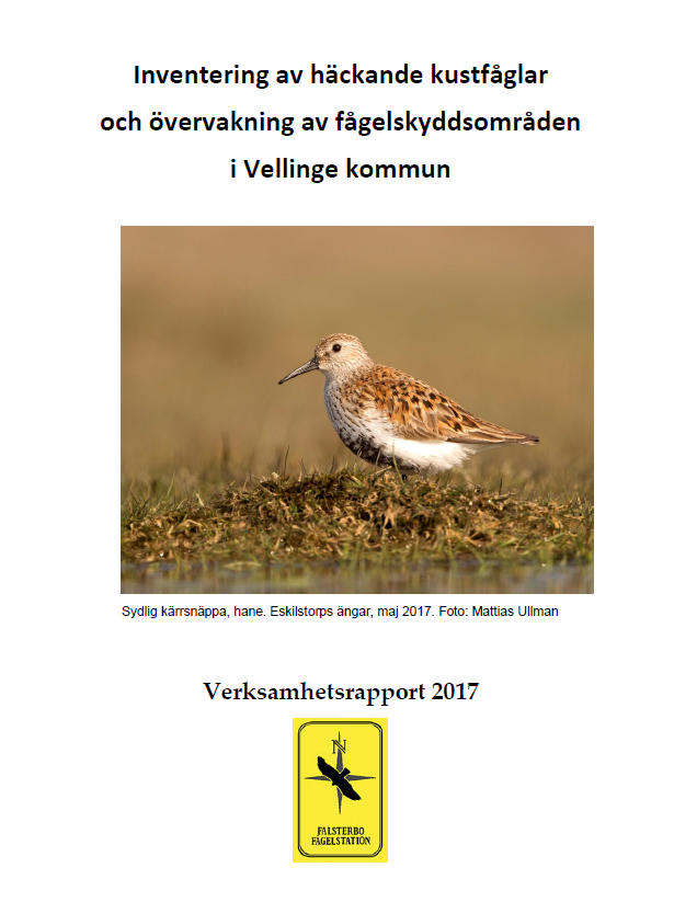 Publikationens omslagsbild