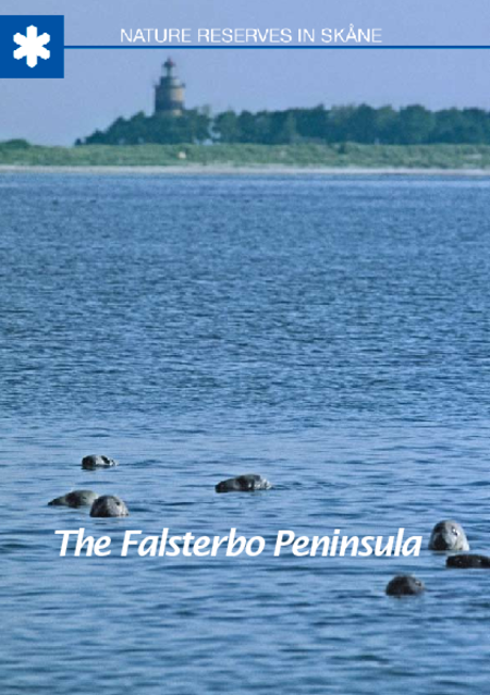 Publikationens omslagsbild