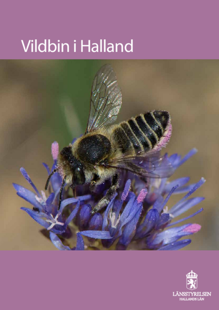 Vildbin i Halland | Länsstyrelsen Halland