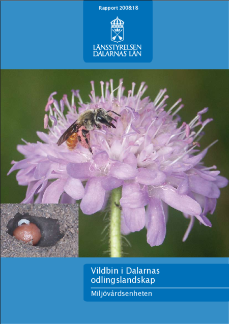 Vildbin i Dalarnas odlingslandskap, rapport 2008:18 | Länsstyrelsen Dalarna