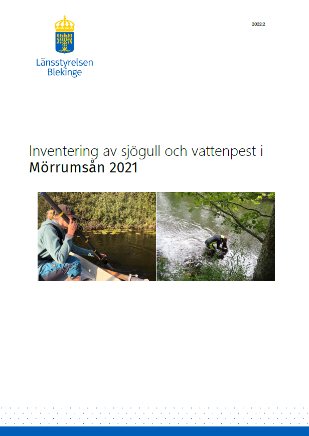 Publikationens omslagsbild