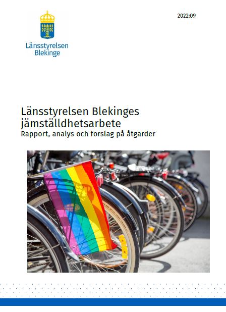 Publikationens omslagsbild