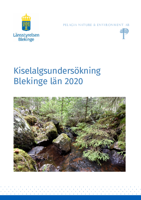 Publikationens omslagsbild