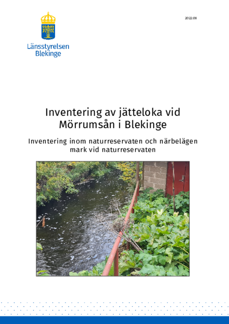 Publikationens omslagsbild