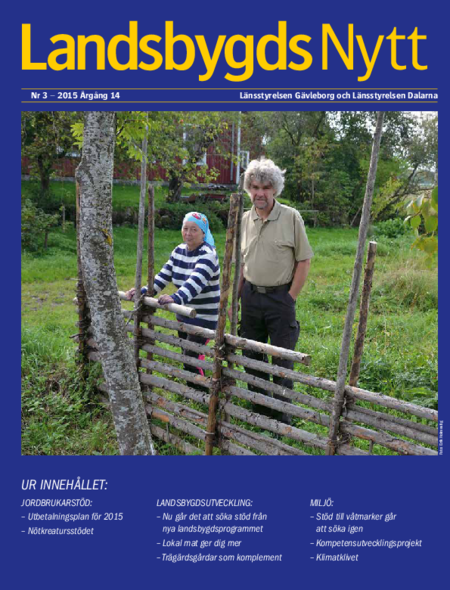 Publikationens omslagsbild