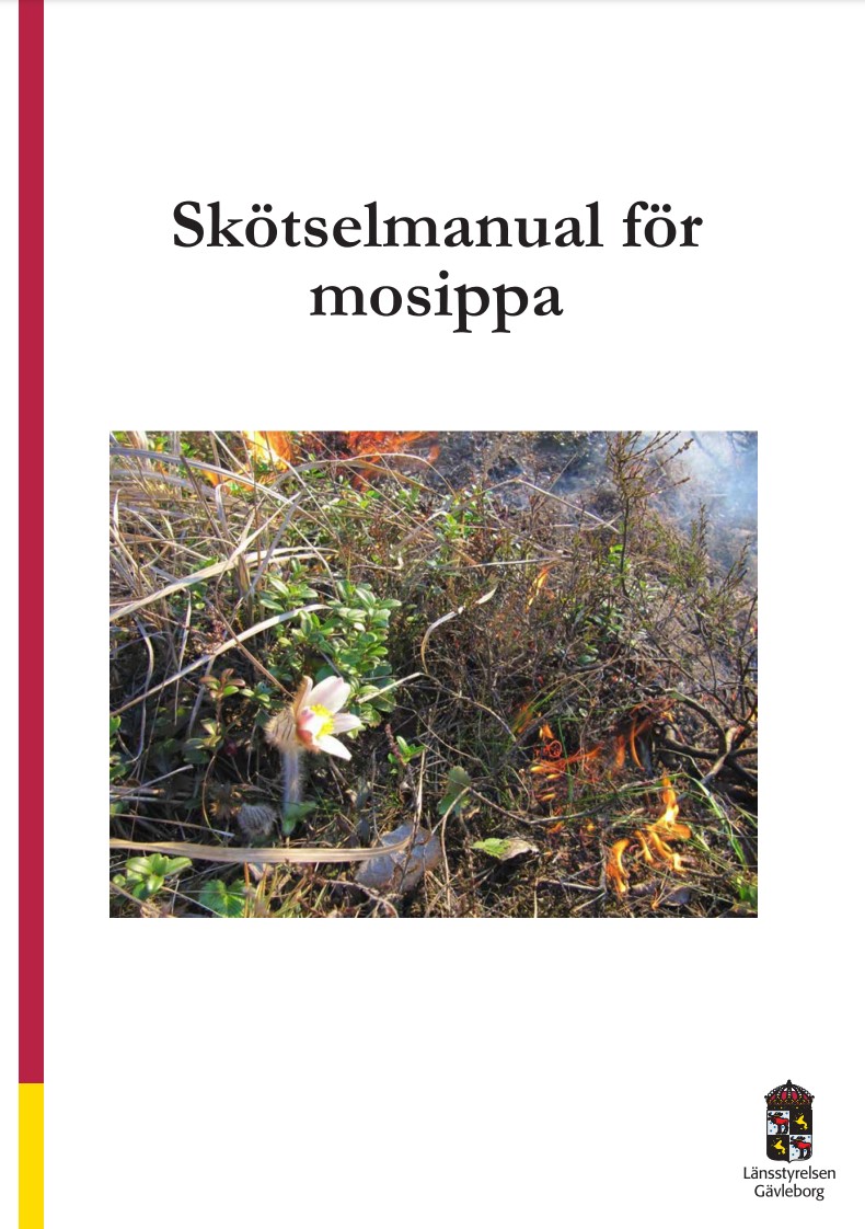 Skötselmanual för mosippa | Länsstyrelsen Gävleborg