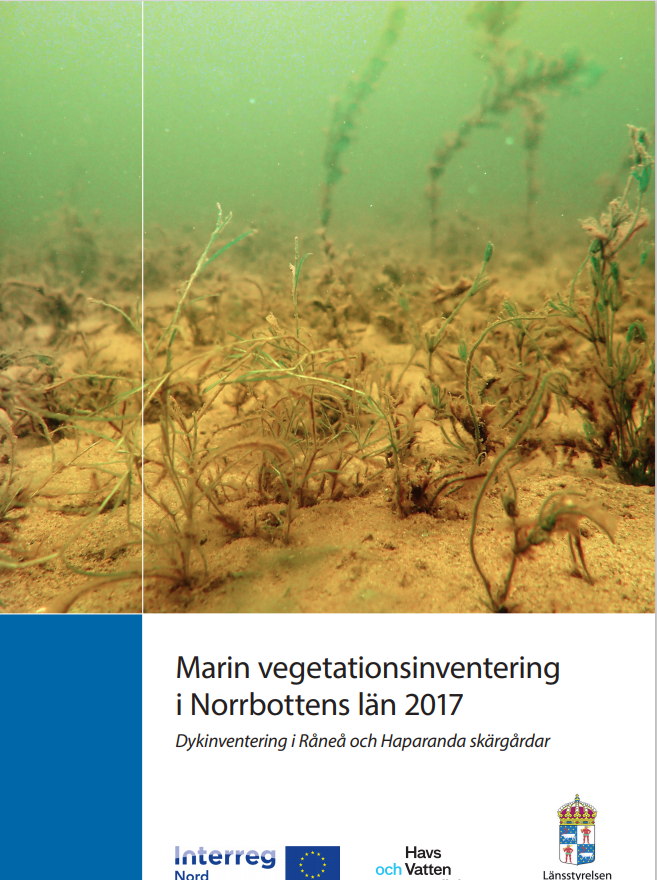 Publikationens omslagsbild