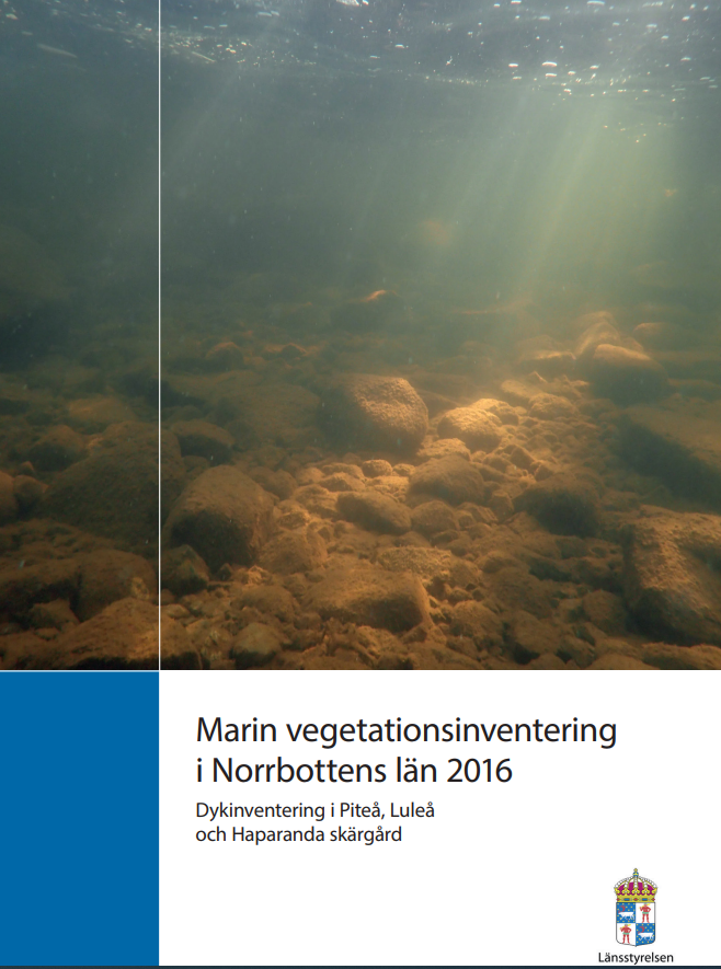 Publikationens omslagsbild