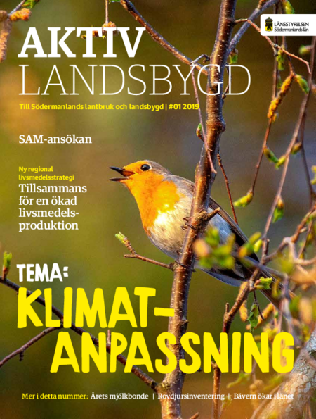 Publikationens omslagsbild