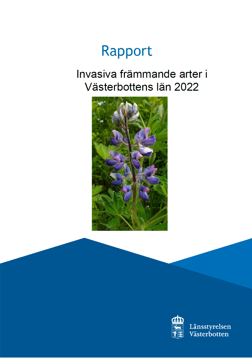 Invasiva Främmande Arter I Västerbottens Län 2022 | Länsstyrelsen ...