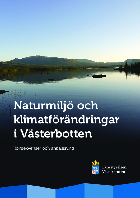 Publikationens omslagsbild