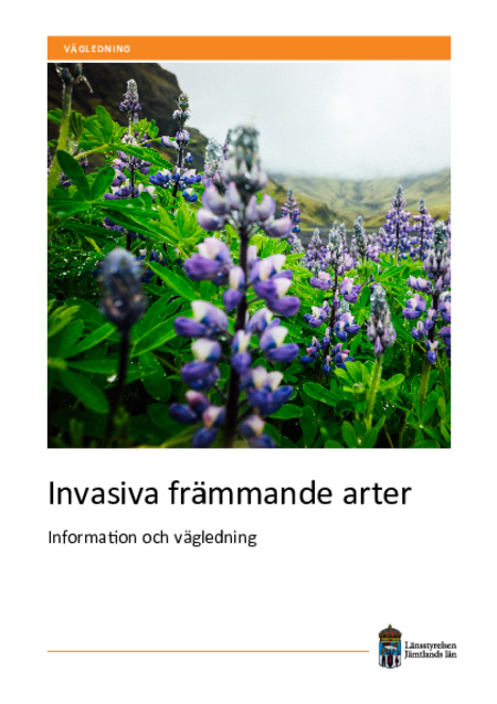 Invasiva Fr mmande Arter Information Och V gledning L nsstyrelsen 
